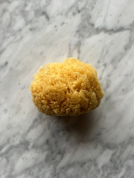 Natural Dead Sea Sponge – Lizzie's All-natural Products
