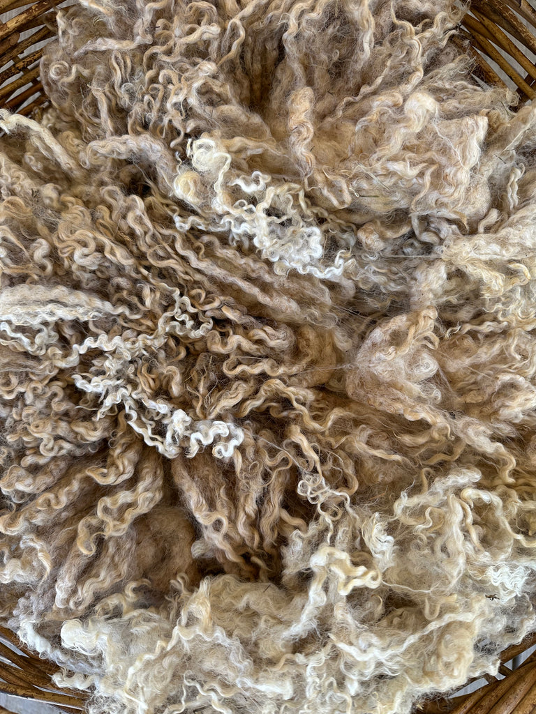 TEESWATER RAW FLEECE | LAVENDER
