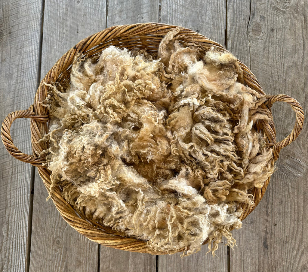 LEICESTER LONGWOOL RAW FLEECE| CELESTIAL SNOW