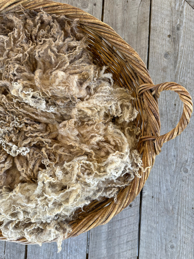 TEESWATER RAW FLEECE | LAVENDER